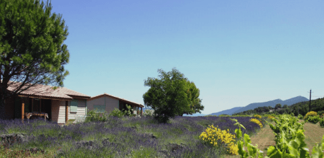 domaine-bridoux